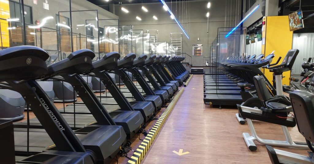 Row of treadmills and exercise machines in a well-lit modern gym setting.