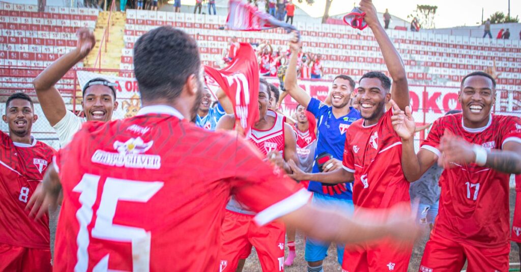 A soccer team jubilantly celebrates their victory on the field, embodying teamwork and joy.