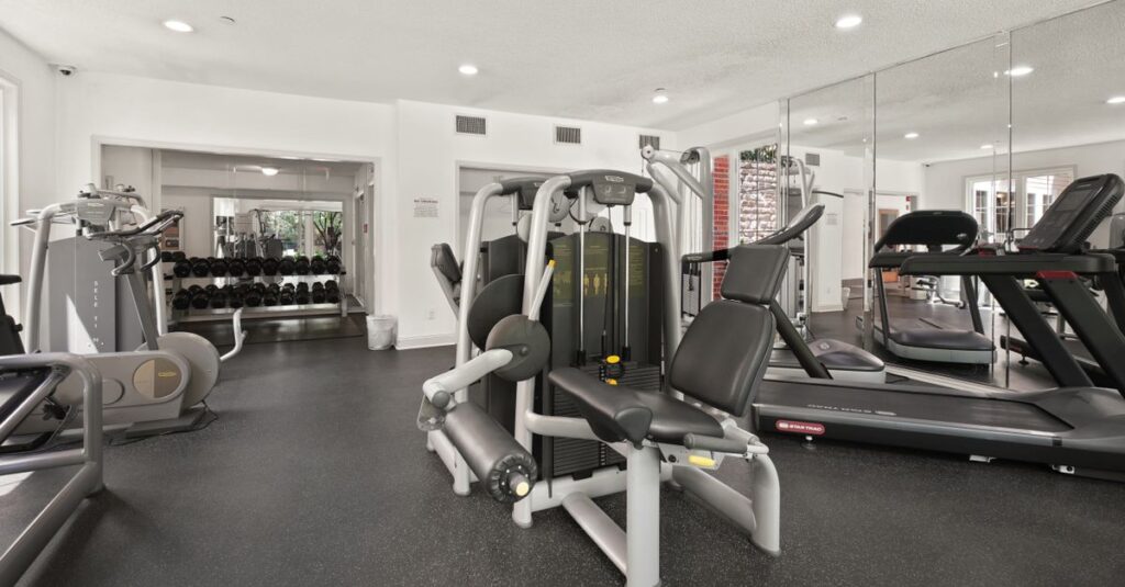 Spacious gym interior featuring various fitness equipment and natural lighting.