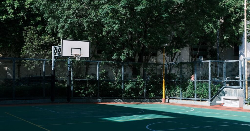 Sunlit outdoor basketball court surrounded by lush green trees, creating serene shadows.