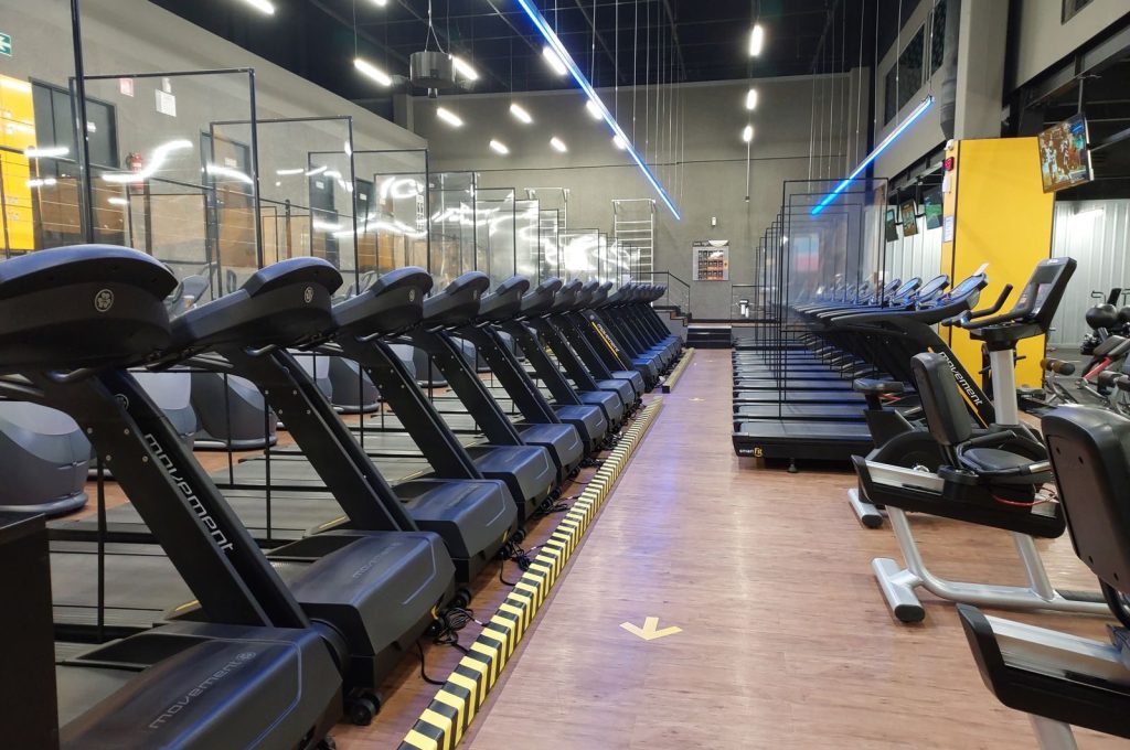 Row of treadmills and exercise machines in a well-lit modern gym setting.